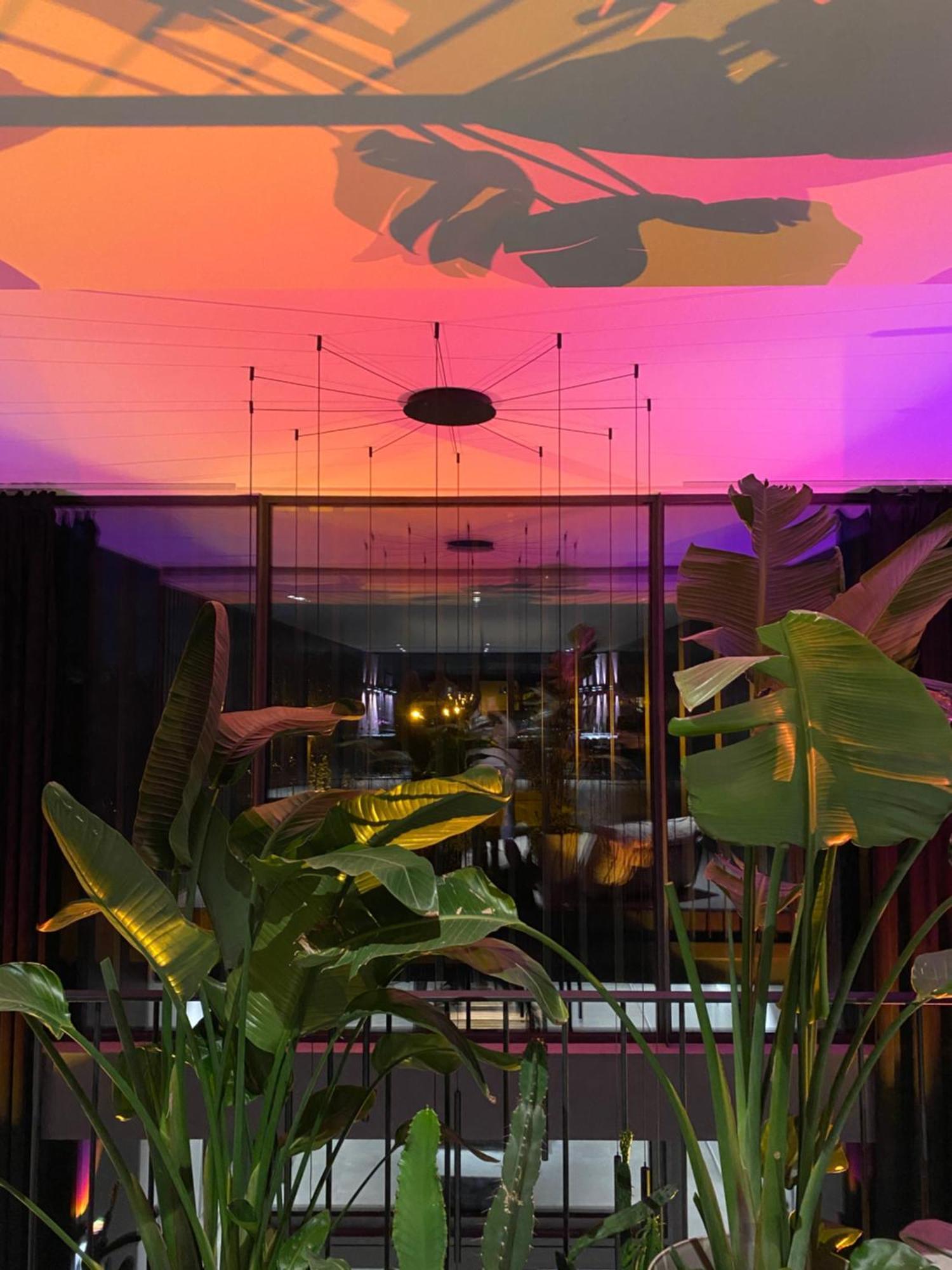 Exklusive Design Appartement Palm Paradise Neubau Pfungstadt Luaran gambar
